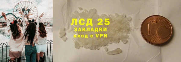 ГАЛЛЮЦИНОГЕННЫЕ ГРИБЫ Аркадак