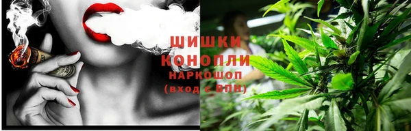 ГАЛЛЮЦИНОГЕННЫЕ ГРИБЫ Аркадак