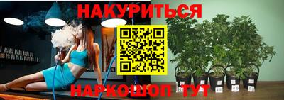 винт Будённовск