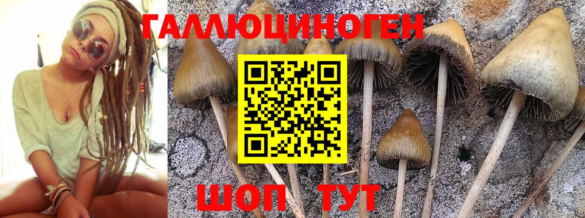 Псилоцибиновые грибы MAGIC MUSHROOMS  Гай 
