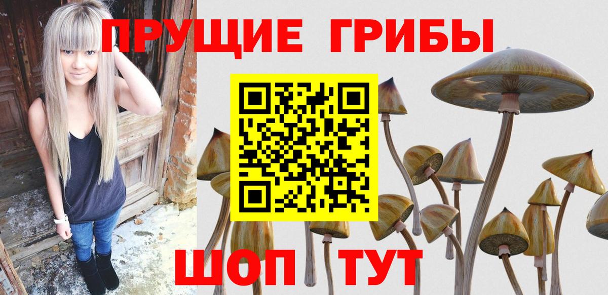 Псилоцибиновые грибы GOLDEN TEACHER Гай