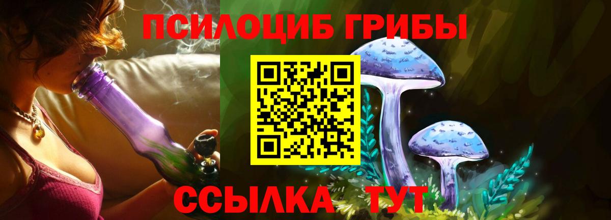 Галлюциногенные грибы GOLDEN TEACHER  Вход с VPN  Гай 