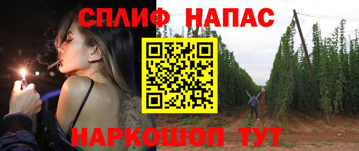 Марихуана семена Гай